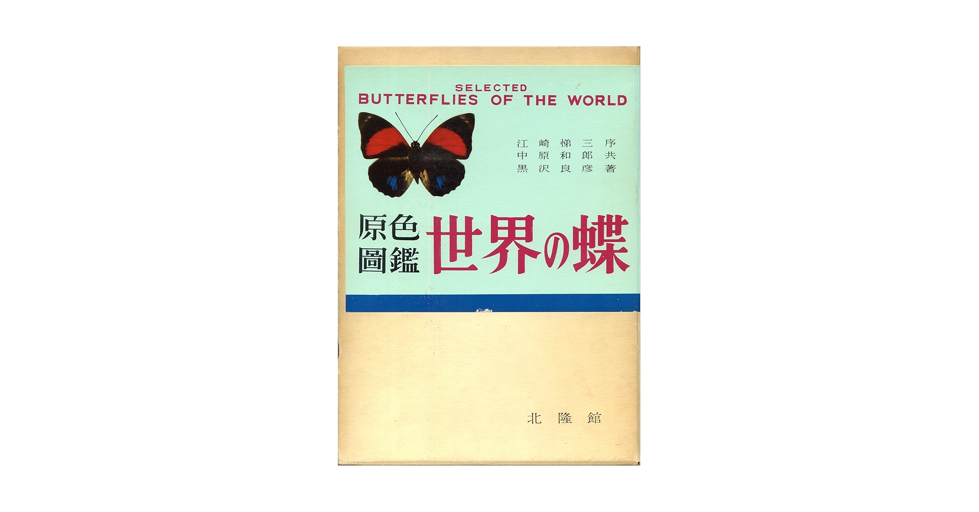 世界の蝶 原色圖鑑 復刻版 原色圖鑑世界の蝶 復刻版 | 中原 和郎, 黒沢 良彦 |本 | 通販